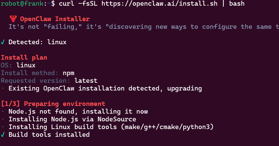 OpenClaw 安装设置截图 1