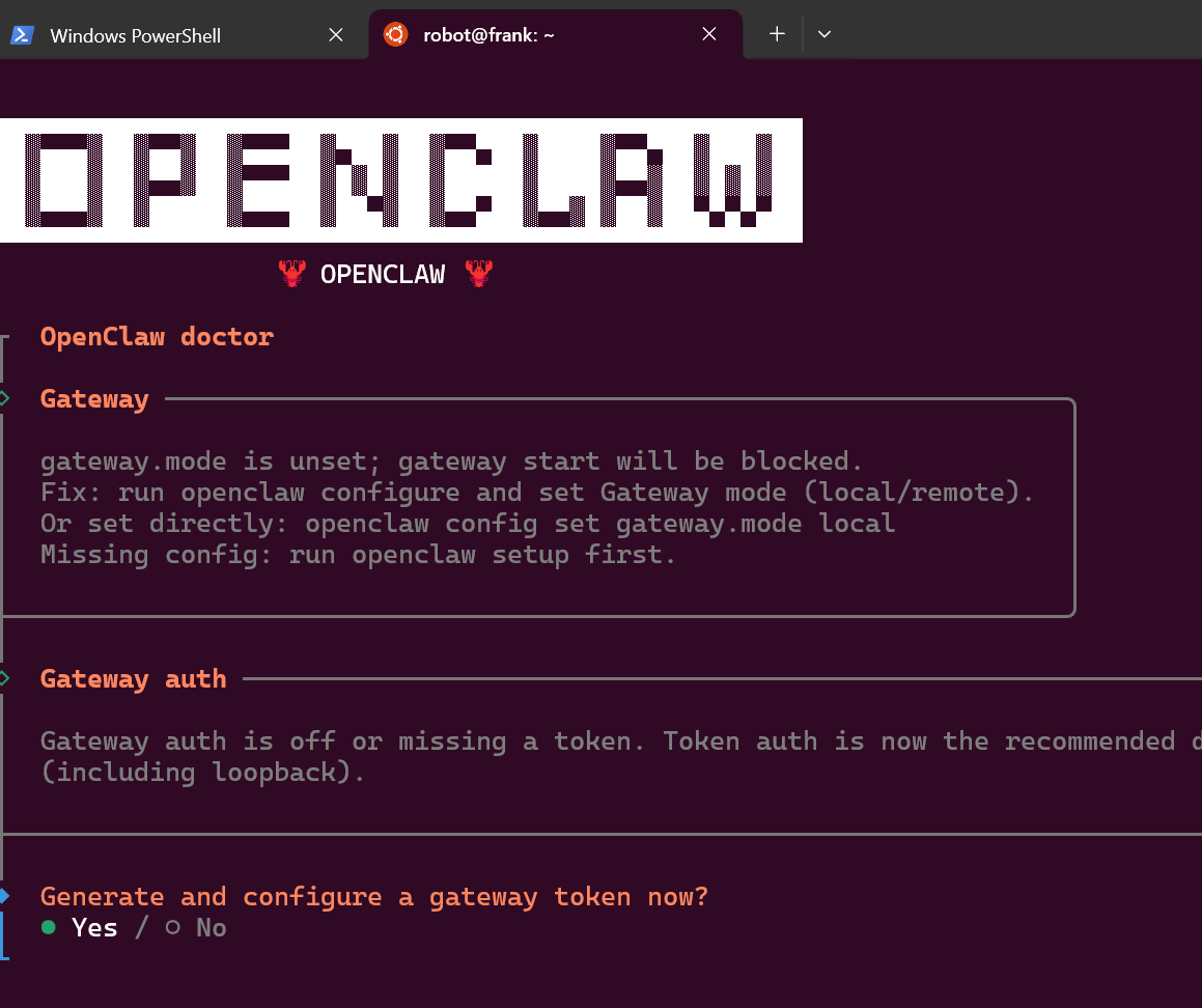 OpenClaw 安装设置截图 2