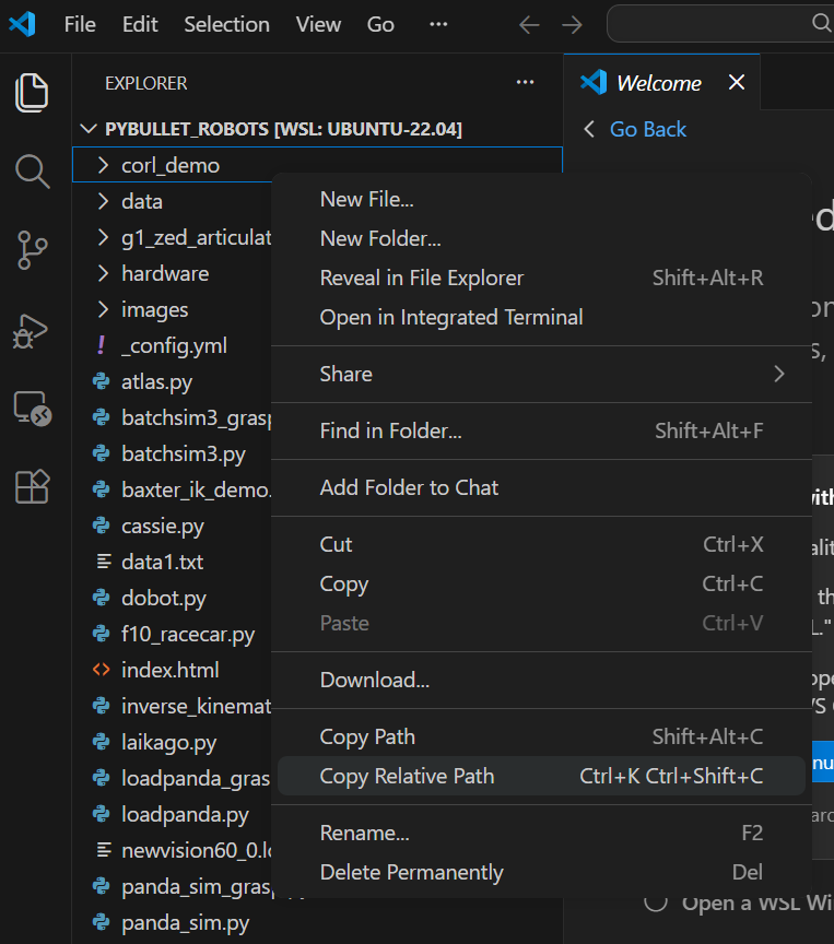 VS Code 获取目录路径截图 1